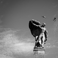 La Vida en Blanco y Negro